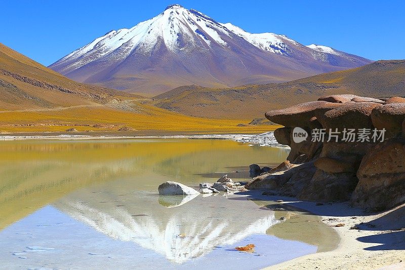Salar de Talar和Miniques雪顶火山-绿松石湖镜面反射在日出和田园般的阿塔卡马沙漠，火山景观全景-圣佩德罗阿塔卡马，智利，Bolívia和阿根廷边境